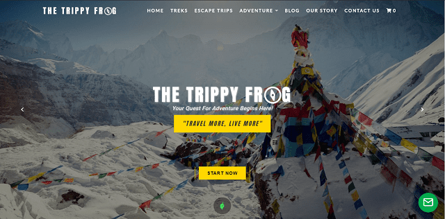 The Trippy Frog - Website